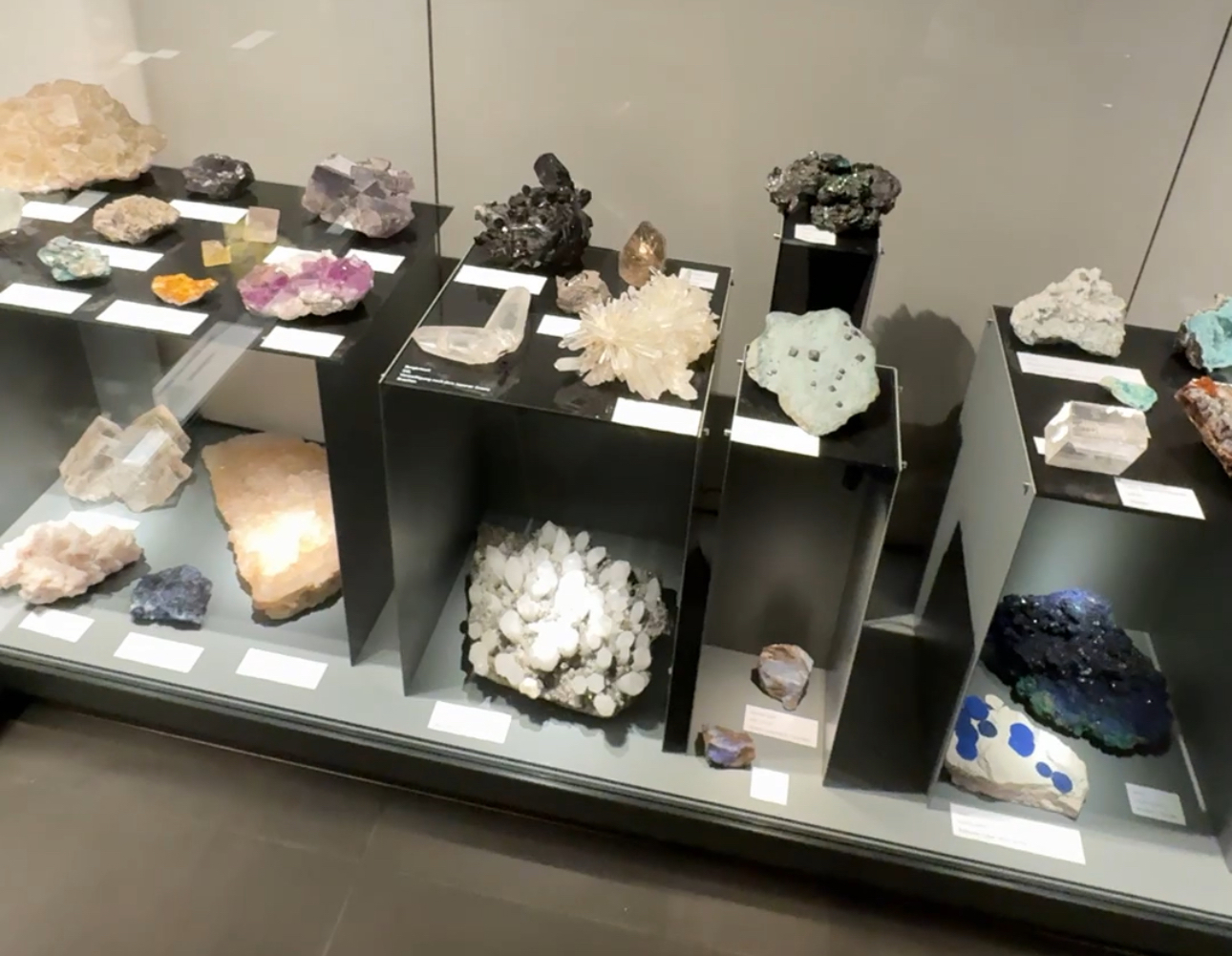 Naturkundemuseum Reutlingen - Galeriebild 6