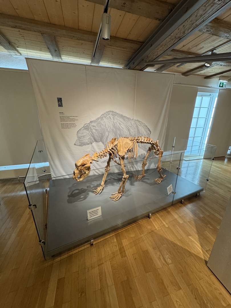Naturkundemuseum Reutlingen - Galeriebild 8