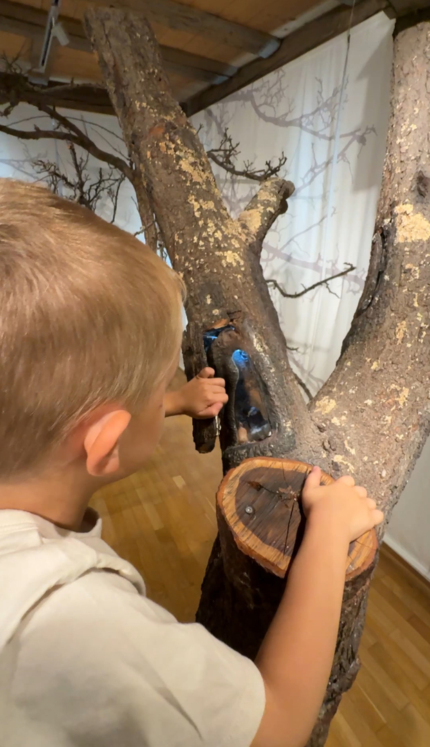 Naturkundemuseum Reutlingen - Hauptbild