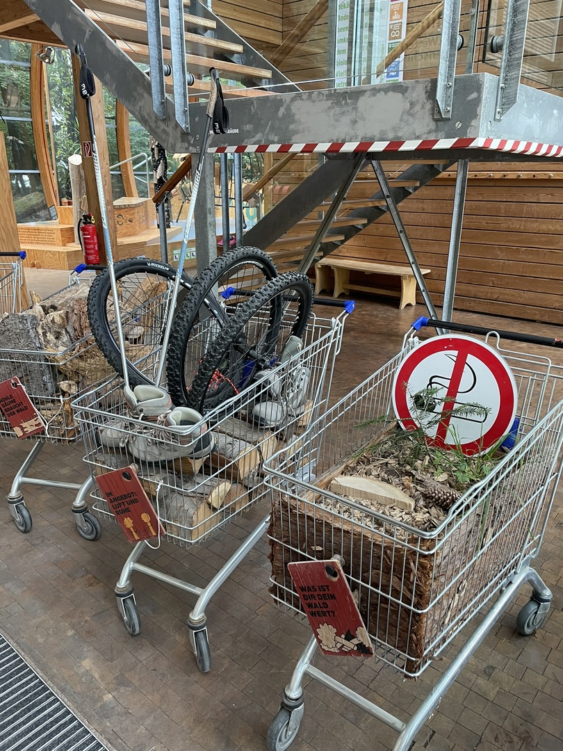 Haus des Waldes Stuttgart - Galeriebild 14