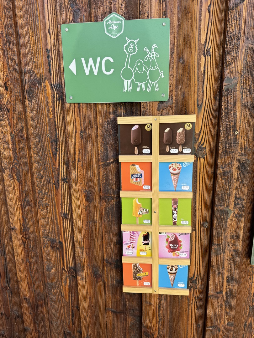 Alpsee Bergwelt - Galeriebild 5
