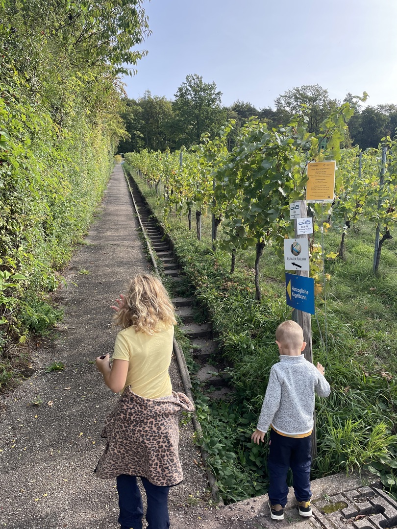 Herzogliche Kugelbahn Stetten - Galeriebild 6
