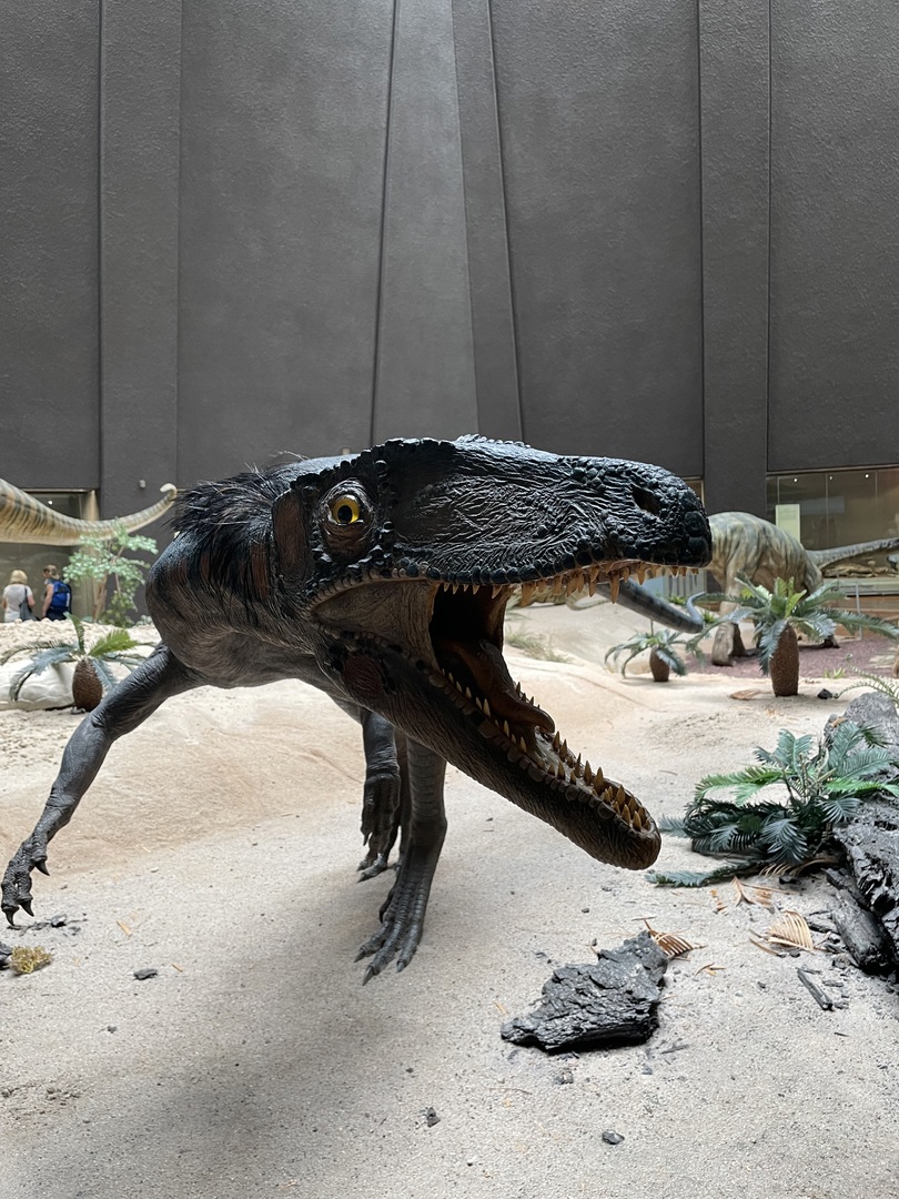 Naturkundemuseum Stuttgart - Galeriebild 9