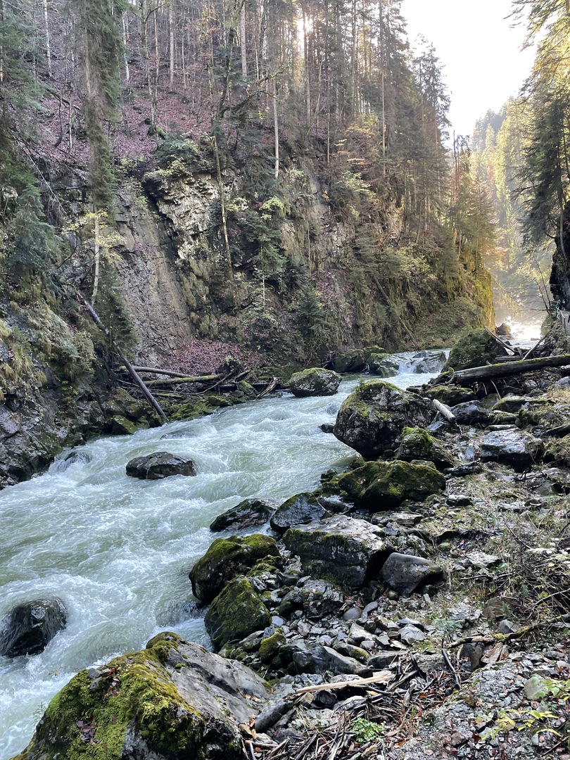 Breitachklamm Oberstdorf - Galeriebild 12