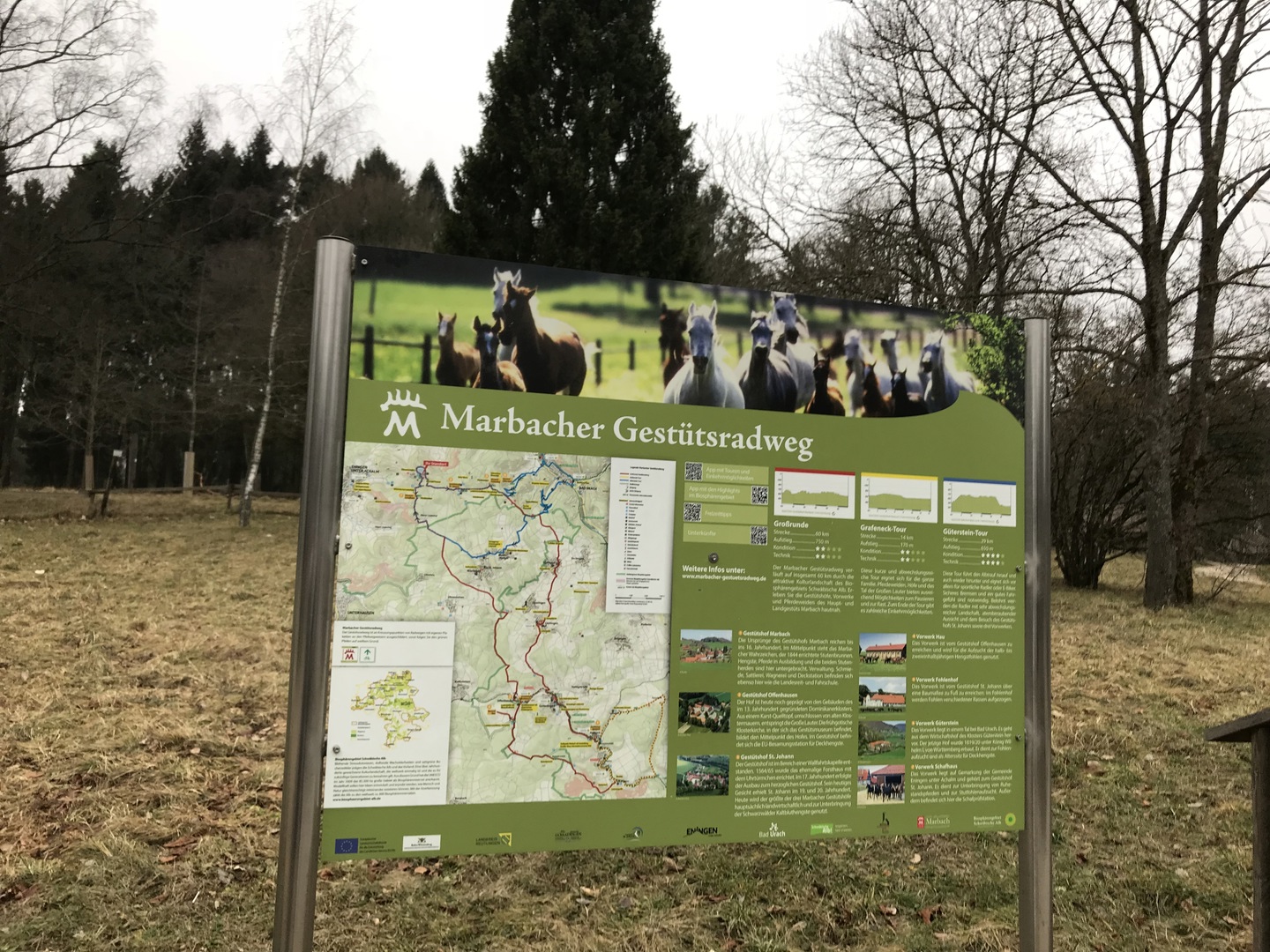 Eninger Weide - Galeriebild 17