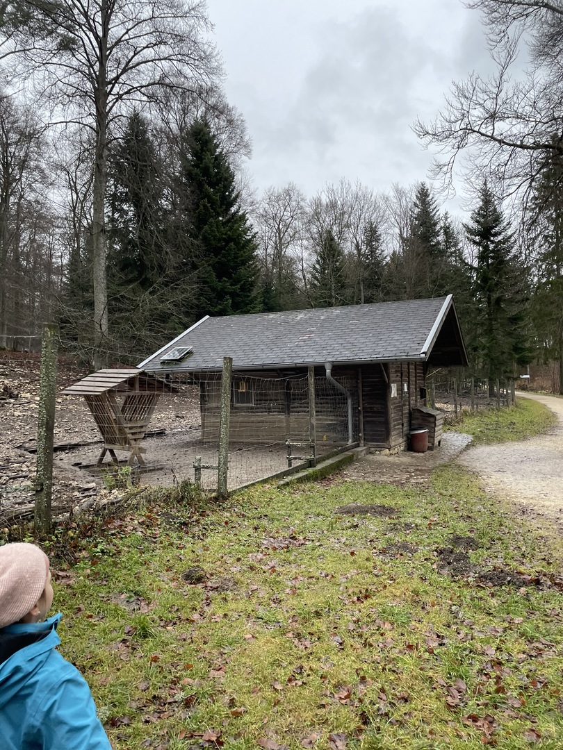Hexenküche Albstadt - Galeriebild 11