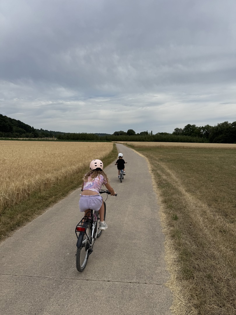 Fahrradtour Drei Spielplätze Neckartenzlingen-Neckartaifingen - Galeriebild 3